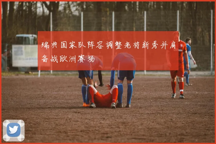 瑞典国家队阵容调整老将新秀并肩备战欧洲赛场