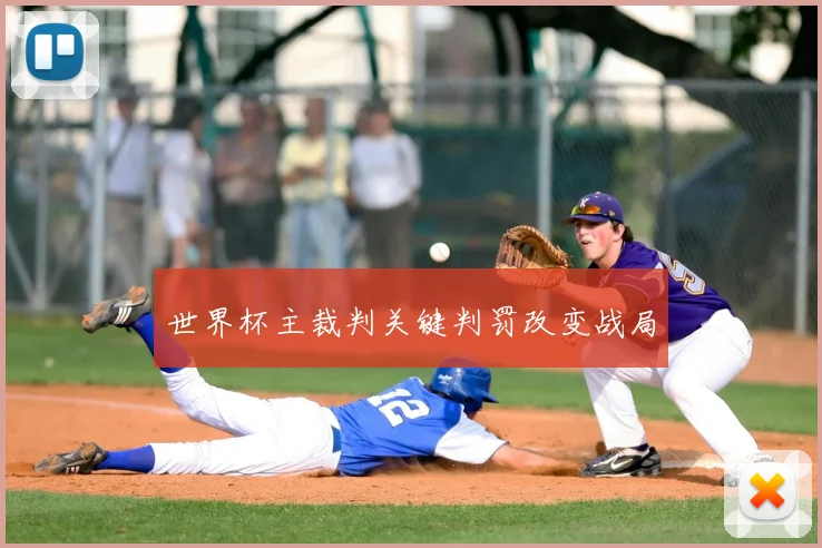 世界杯主裁判关键判罚改变战局
